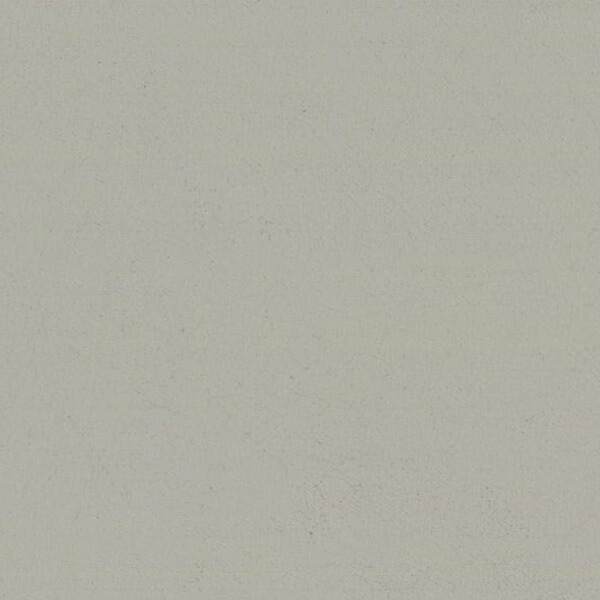 Liso Gris silvestre