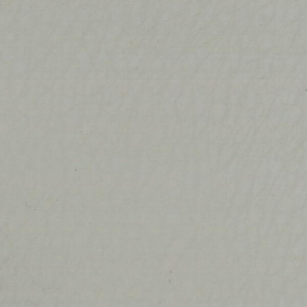 Grabado Gris silvestre
