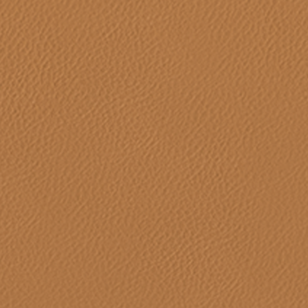 Grabado Camel