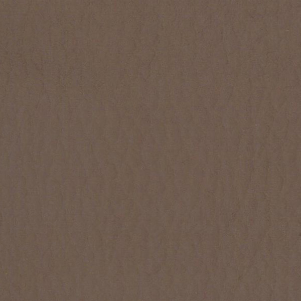 Grabado Habano